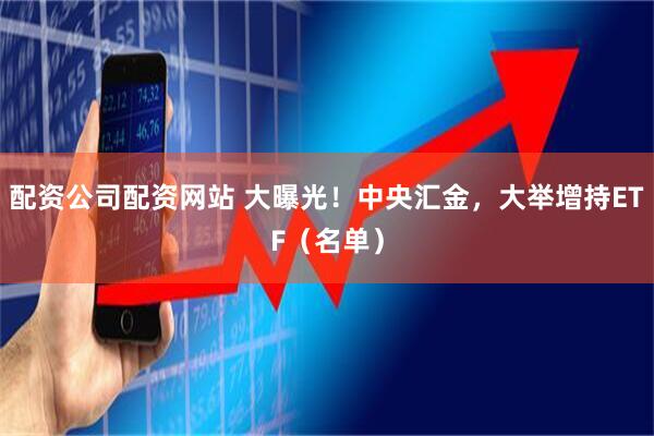 配资公司配资网站 大曝光！中央汇金，大举增持ETF（名单）