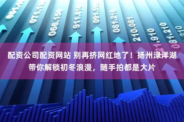 配资公司配资网站 别再挤网红地了！扬州渌洋湖带你解锁初冬浪漫，随手拍都是大片